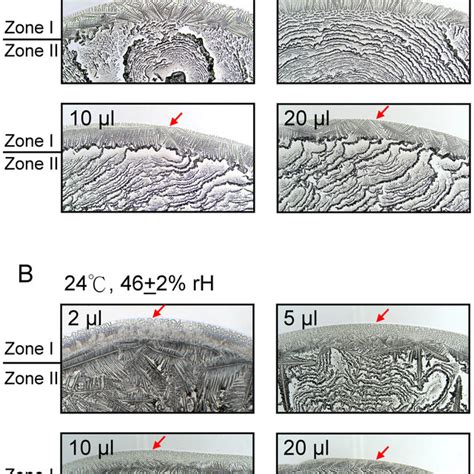 tear ferning test definition|mouse tear ferning protocol.